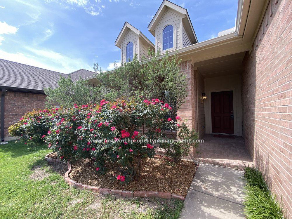 9904 Fressia Ln - Photo 3 of 21