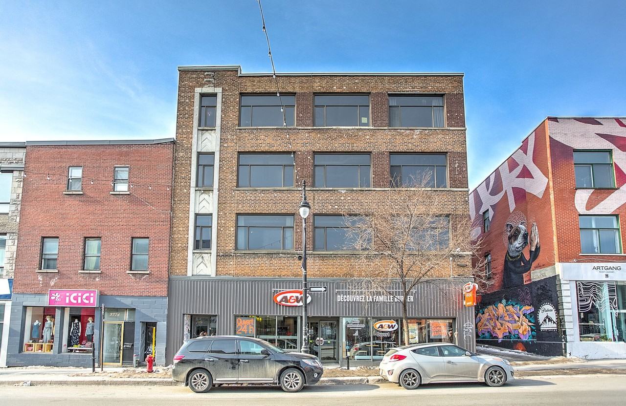 Le 3778 Boulevard StLaurent Apartments for Rent 3778 Boulevard Saint