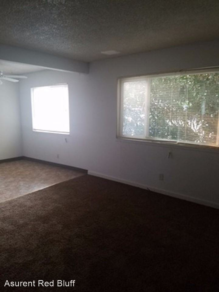 Franzel - Photo 2 of 5
