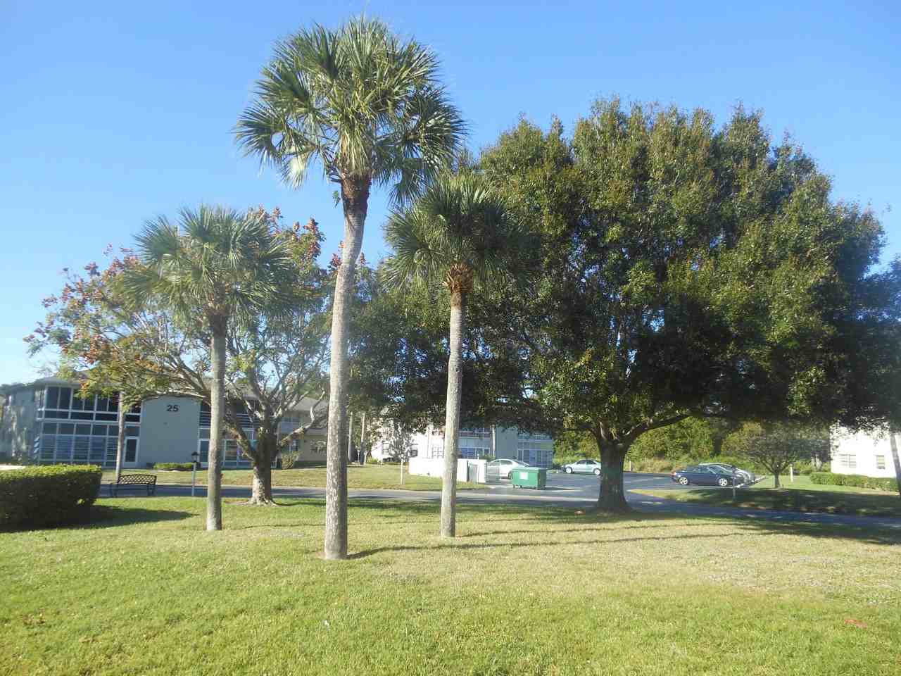 21 Lake Vista Trail #205 - Photo 3 of 26