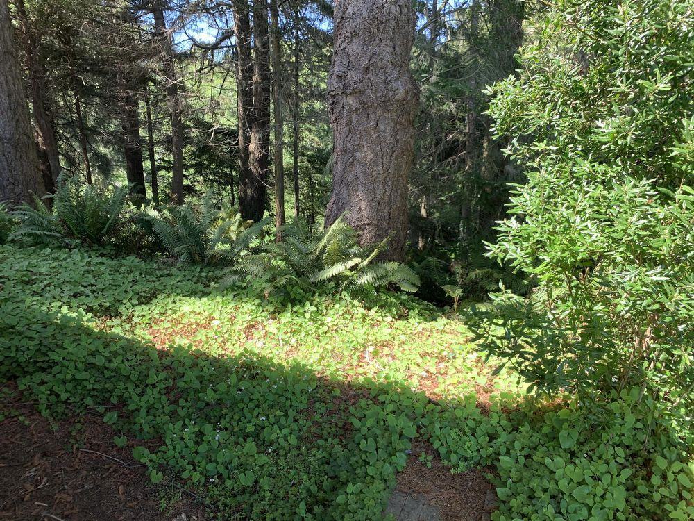 29 Rayipa Lane - Photo 3 of 25