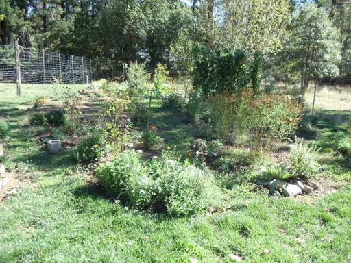 1174 Powell Creek Rd - Photo 3 of 22