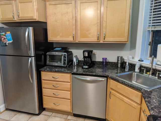 1049 Altgeld #1A - Photo 3 of 21