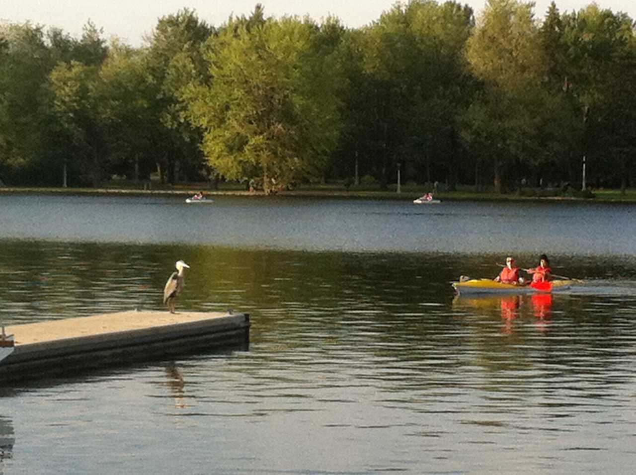 277 Clarence Street - Photo 2 of 12