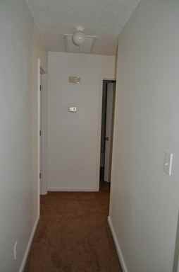 100 Red Cedar Run - Photo 3 of 14