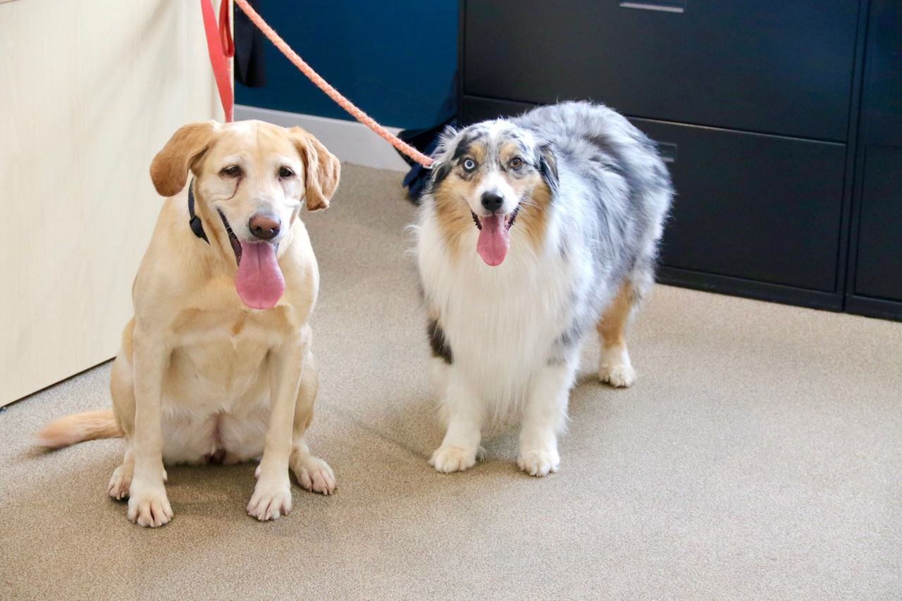 Broadleaf Boulevard Apartments - Photo 3 of 9