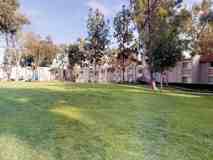 650 E Bonita Ave - Photo 1 of 1