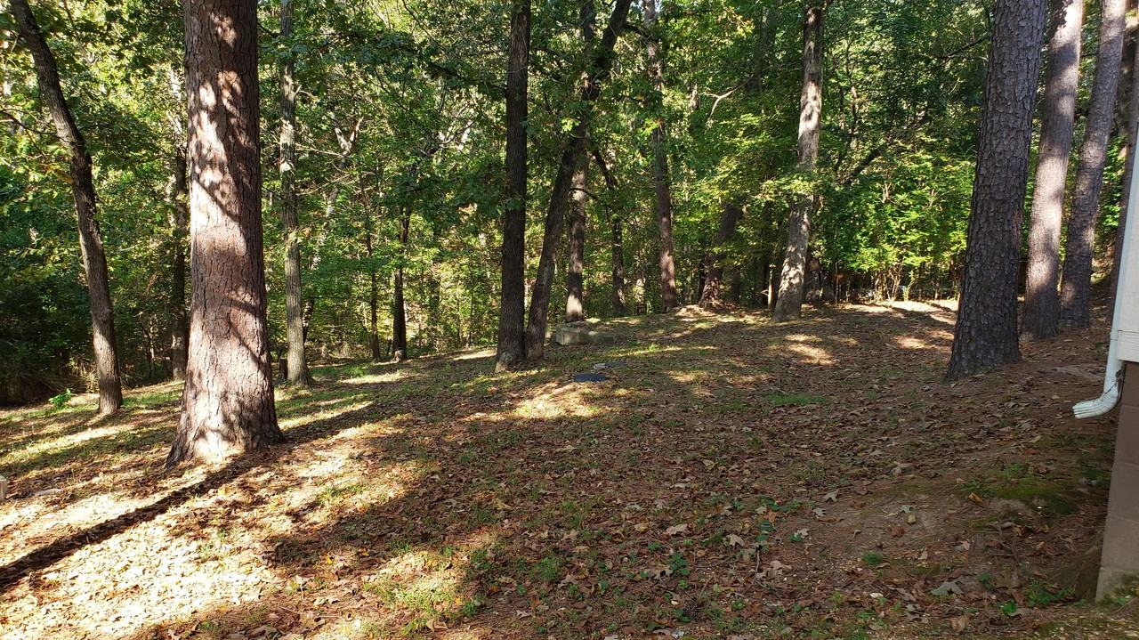 8049 Olive Ln - Photo 2 of 14