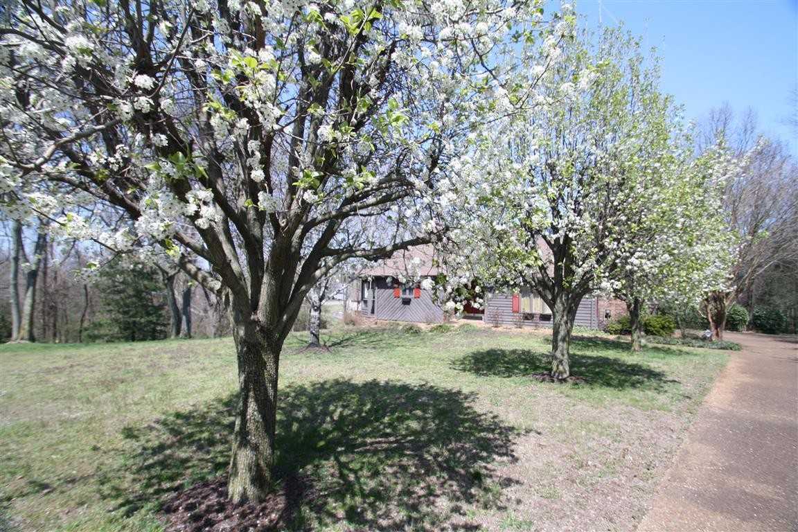 513 Ridge Ct W - Photo 2 of 20