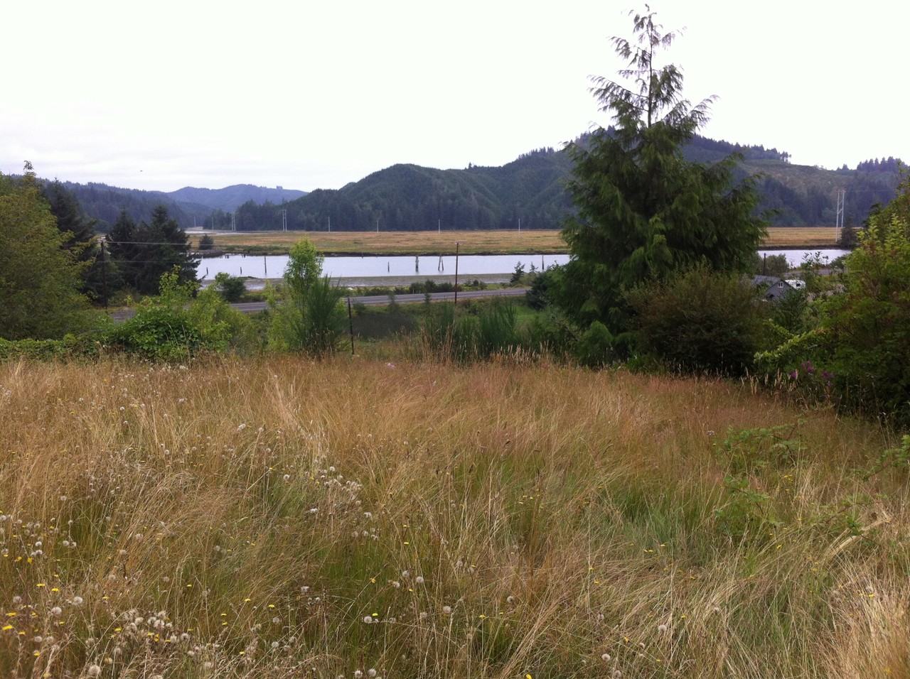 6313 Skunk Hollow Rd - Photo 2 of 25