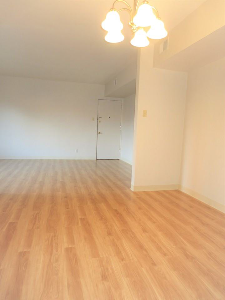 5710 Phillips Ave #A6 - Photo 5 of 83