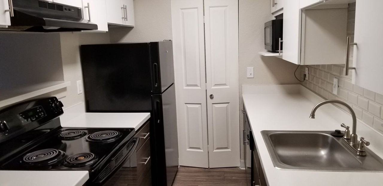 Avery Belmar - Photo 4 of 35