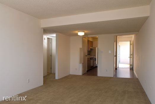 Pepper Tree - Photo 3 of 6