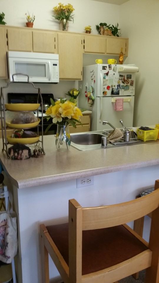 23951 Decoro Drive #231 - Photo 3 of 3
