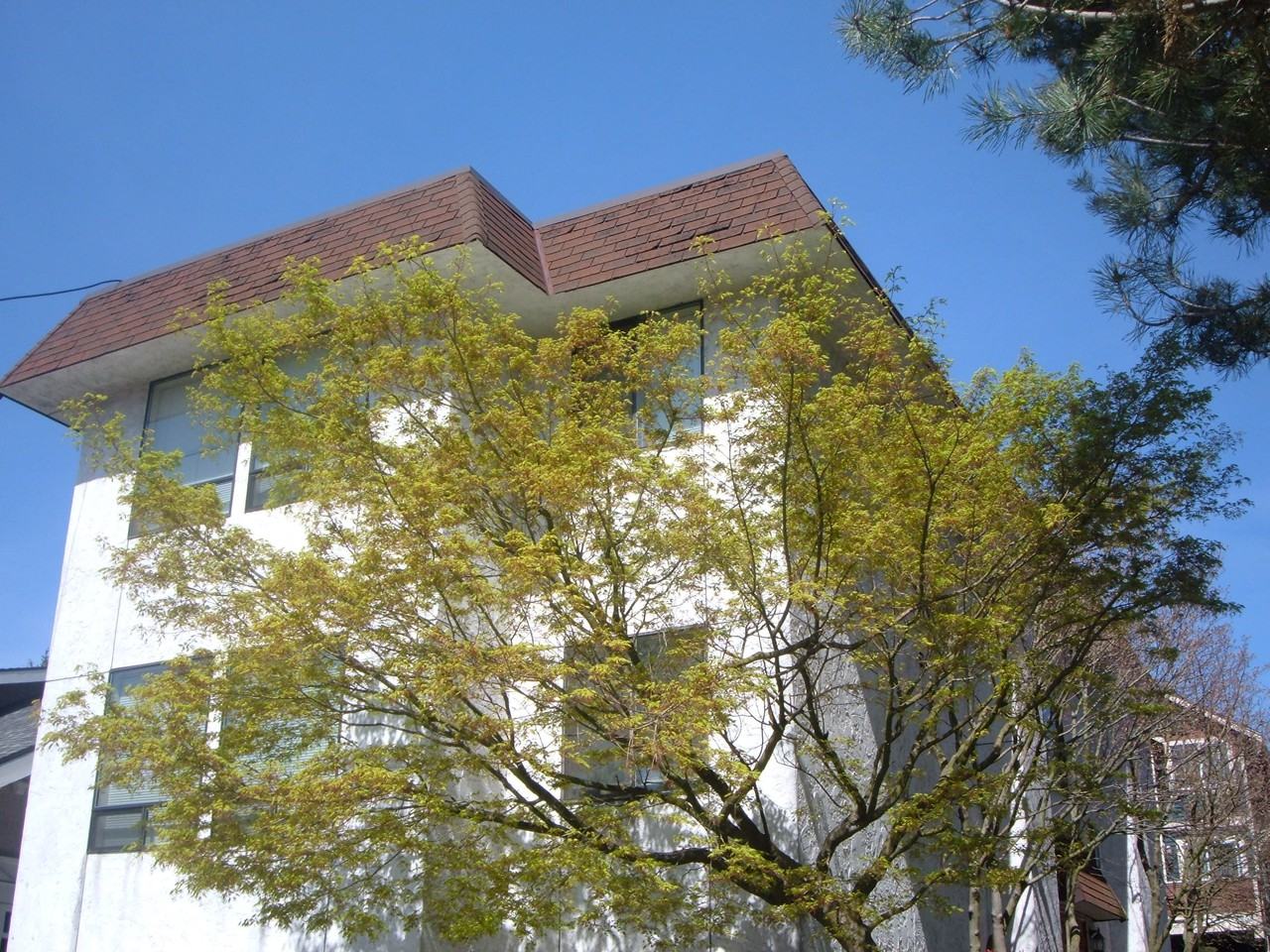 Nordlund - Photo 3 of 3