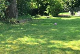 3450 Scenic Drive S E, Auburn, WA 98092 4 Bedroom House