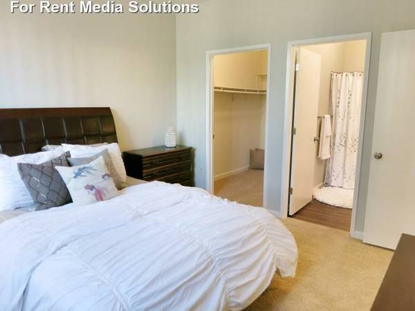 SEVILLE AT MACE RANCH - Photo 7 of 23