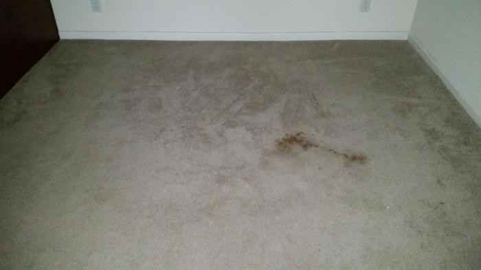 1234 Main Street - Default Prescreens - Photo 2 of 38