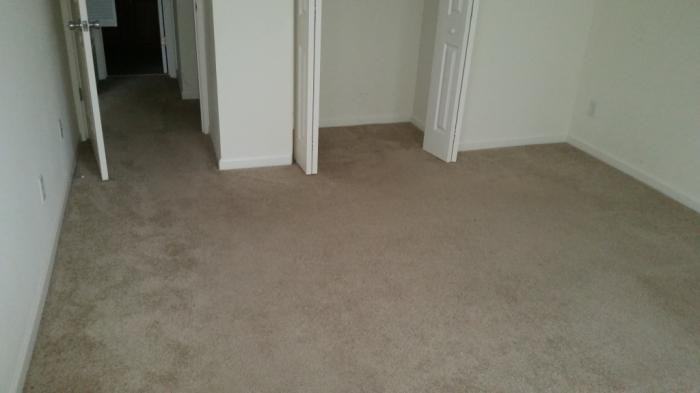 1234 Main Street - Default Prescreens - Photo 3 of 38