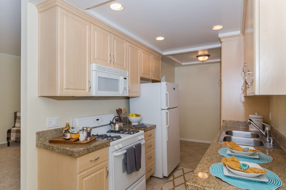 Beverly Arnaz - Photo 5 of 23