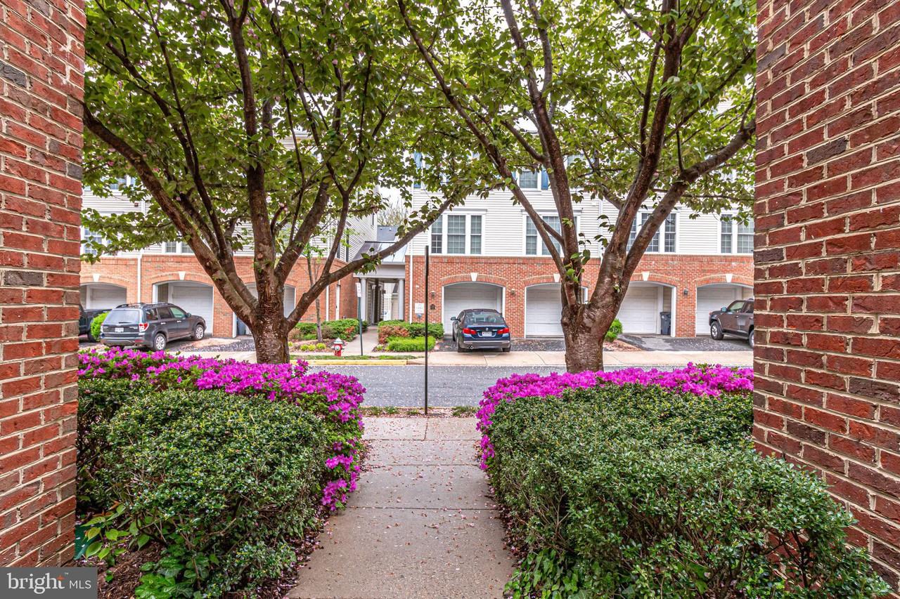 7123 Mason Grove Court 9 - Photo 2 of 50