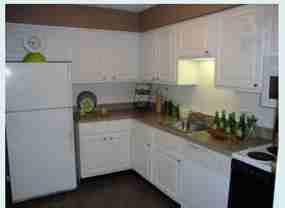 901 S Ashland Ave #1BD - Photo 1 of 1