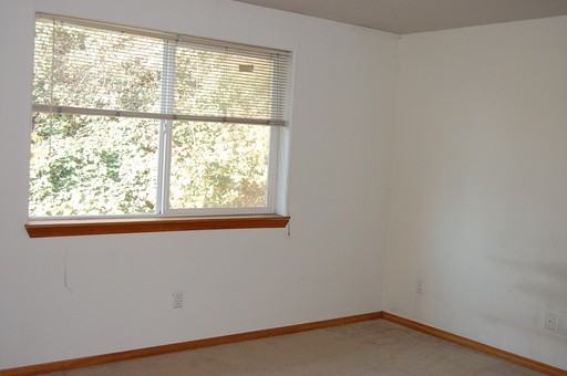 4662 Walnut St - Photo 2 of 13