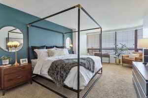 Cheap Apartments For Rent in Bel Rea Institute of Animal Technology, CO -  Low Monthly Rent | Zumper