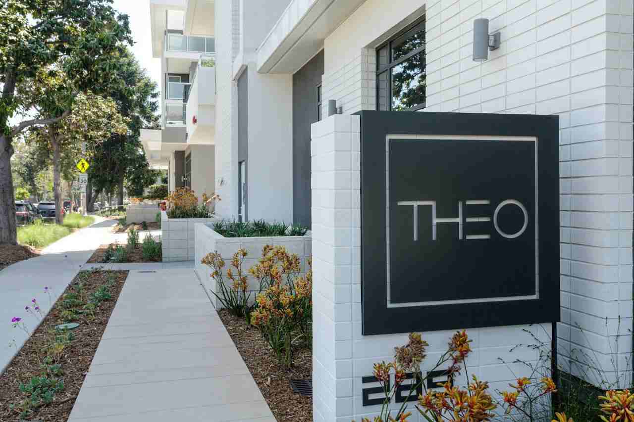 THEO - Photo 3 of 42