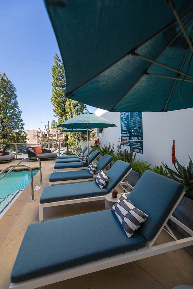 Mira - Photo 3 of 50