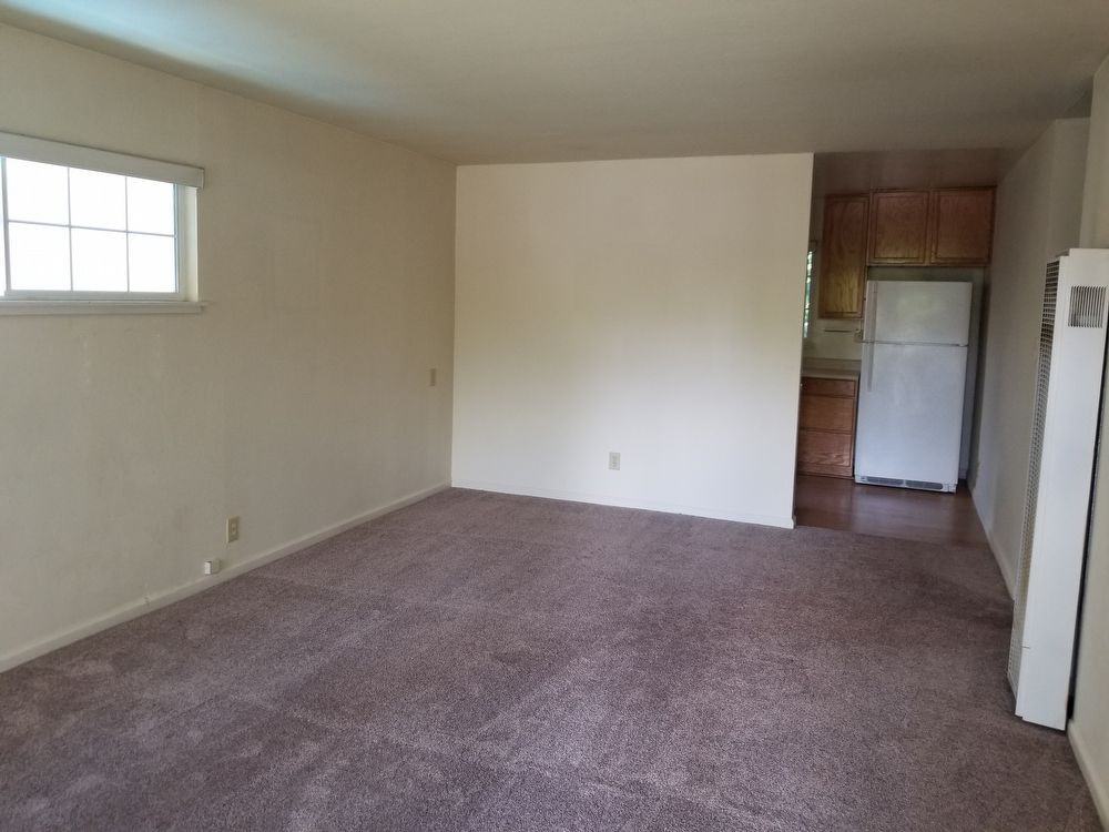 536 Steele Ln - Photo 2 of 11