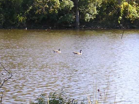 1424 E Main St - Photo 3 of 5