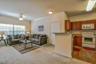 Dorado Ranch - Photo 1 of 1