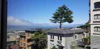 Green Street & Jones Street - Photo 1 of 1