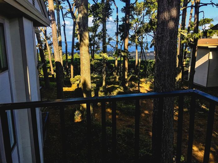 36 Ocean Pines Ln - Photo 3 of 15