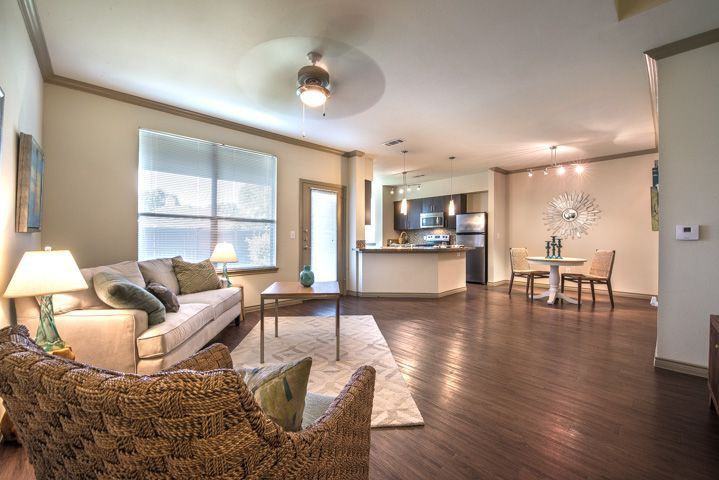 Residences at the Collection - Photo 3 of 19