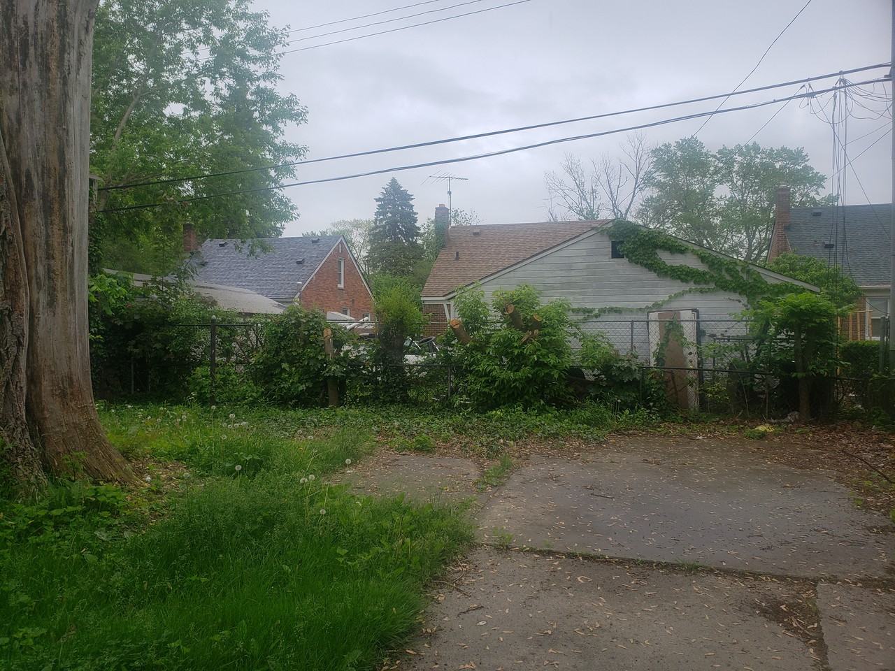 19496 Braile St - Photo 3 of 20