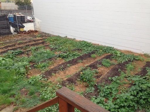 1624 SE Brooklyn St - Photo 3 of 30