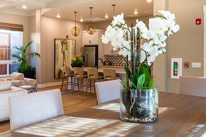 THE VILLAGE AT VINTAGE RANCH - Photo 6 of 50