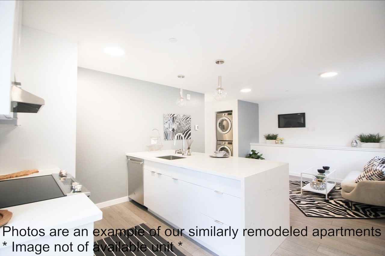 2520 College Avenue #315 - Photo 3 of 15