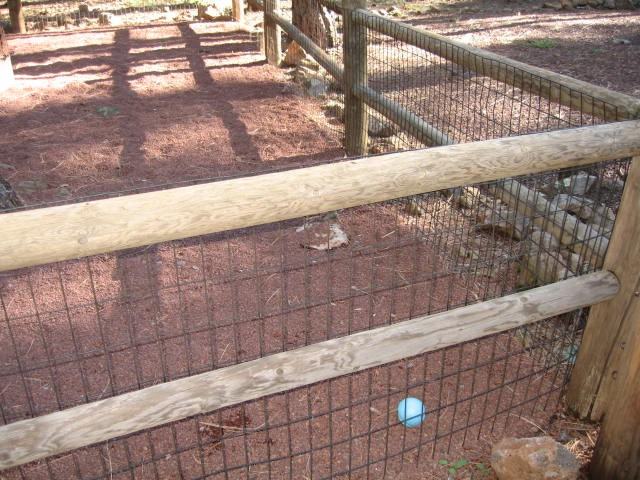 8479 East Ln - Photo 3 of 15