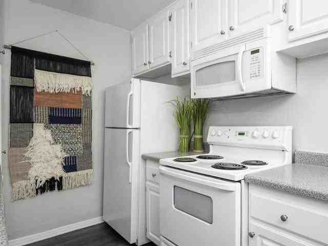 13843 Tustin East Dr - Photo 4 of 43