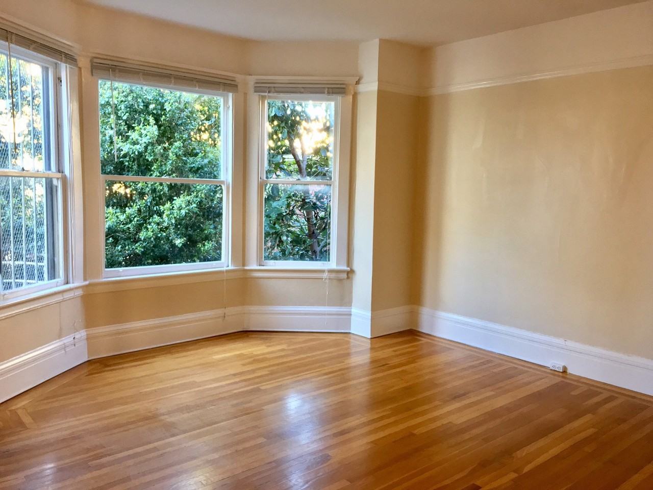 845 Hyde Street - Photo 3 of 14