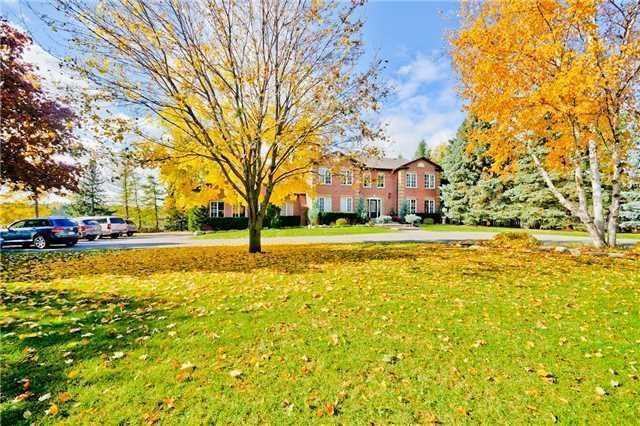 10084 Warden Avenue - Photo 2 of 18
