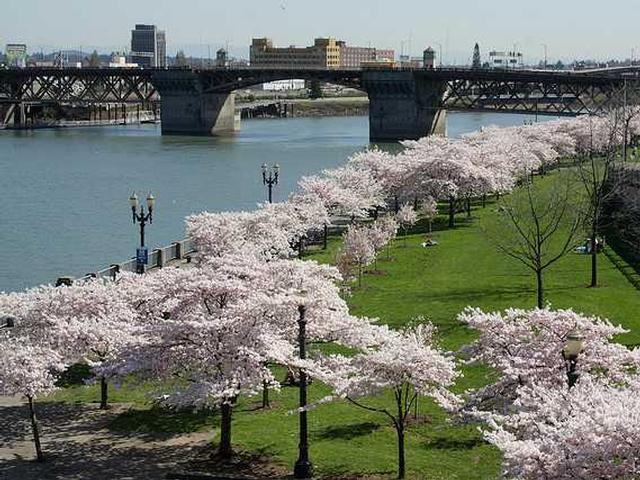 38 Nw Davis St - Photo 3 of 7