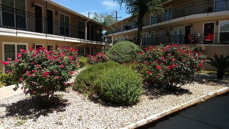 1201 E Mulberry Ave - Photo 5 of 30