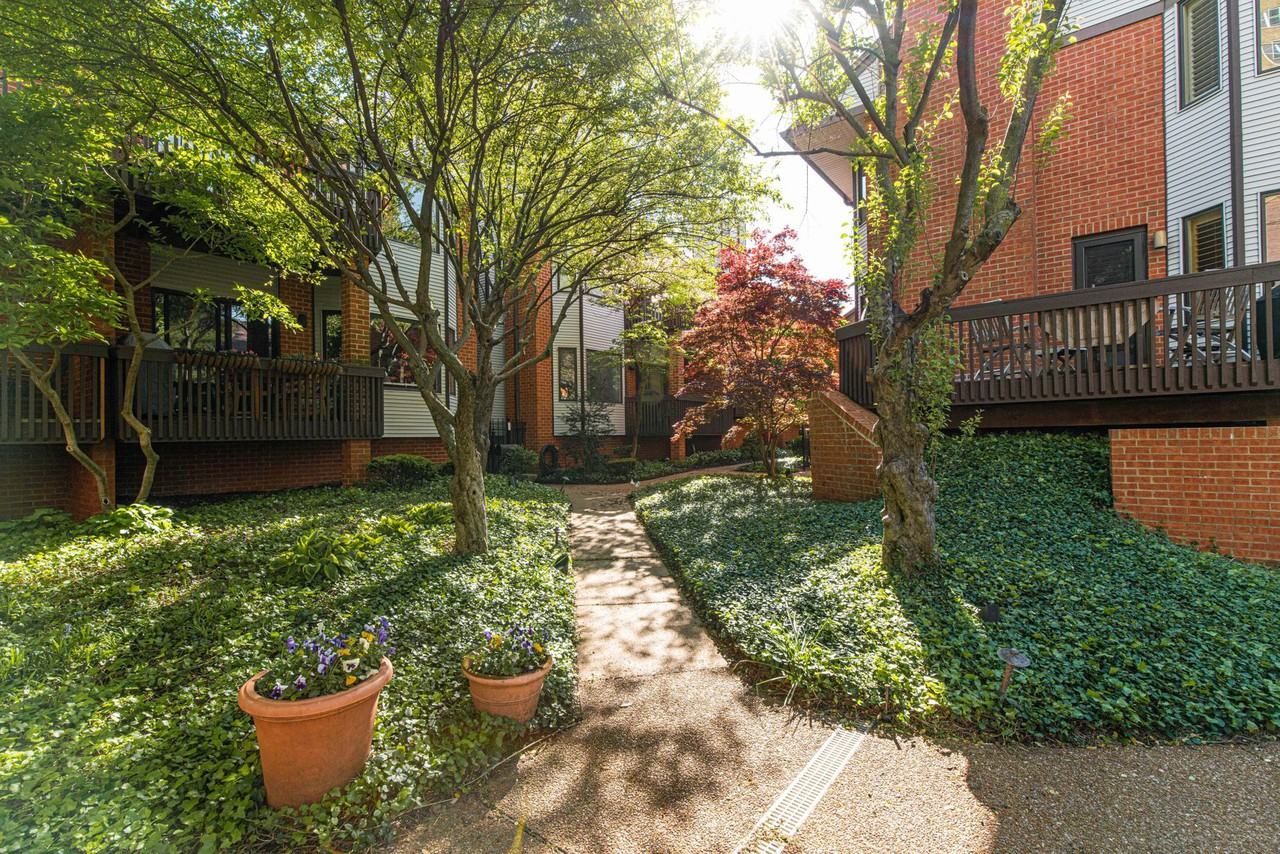 4454 Lindell Boulevard #32 - Photo 3 of 32