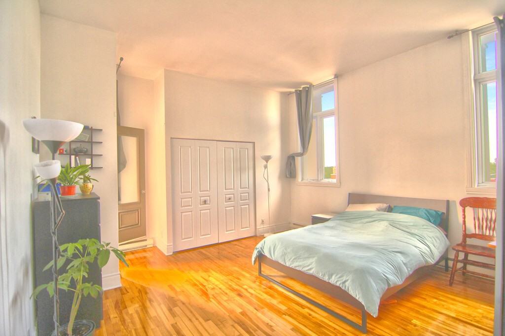 267 Rue Rachel E - Photo 3 of 11