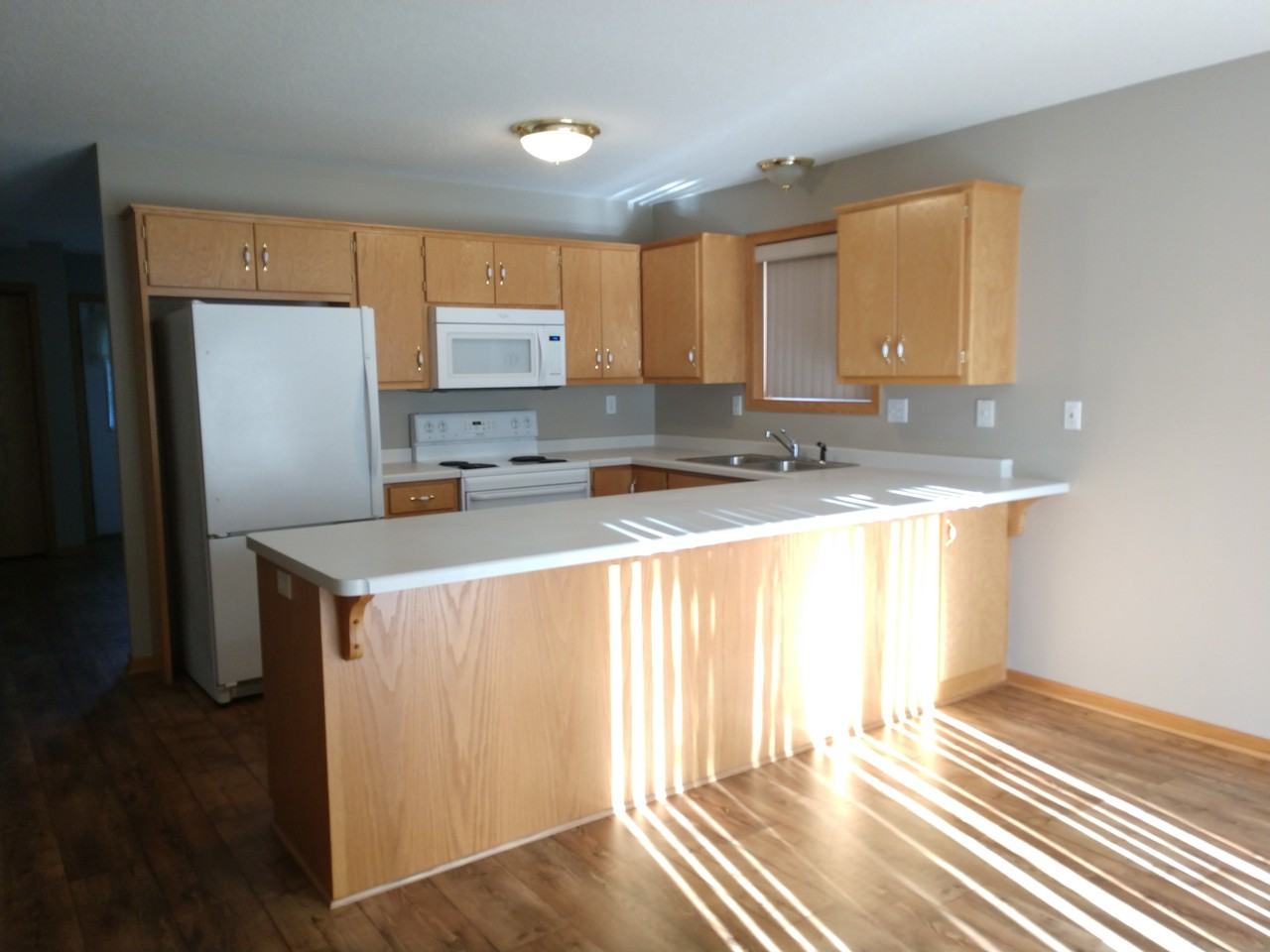 207 Moose Horn Dr - Photo 3 of 13