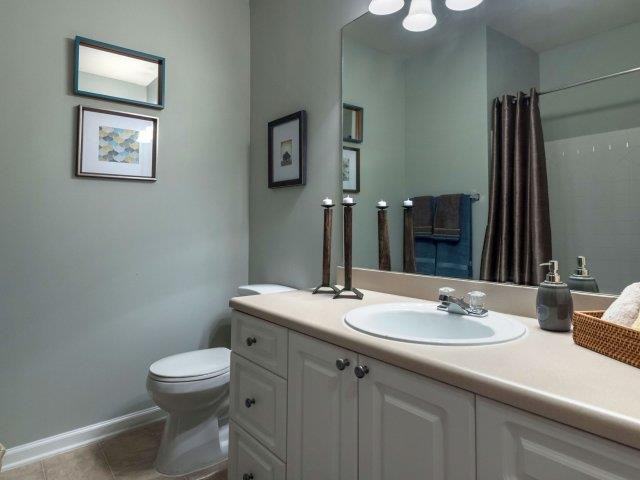 Paces Park - Photo 4 of 33